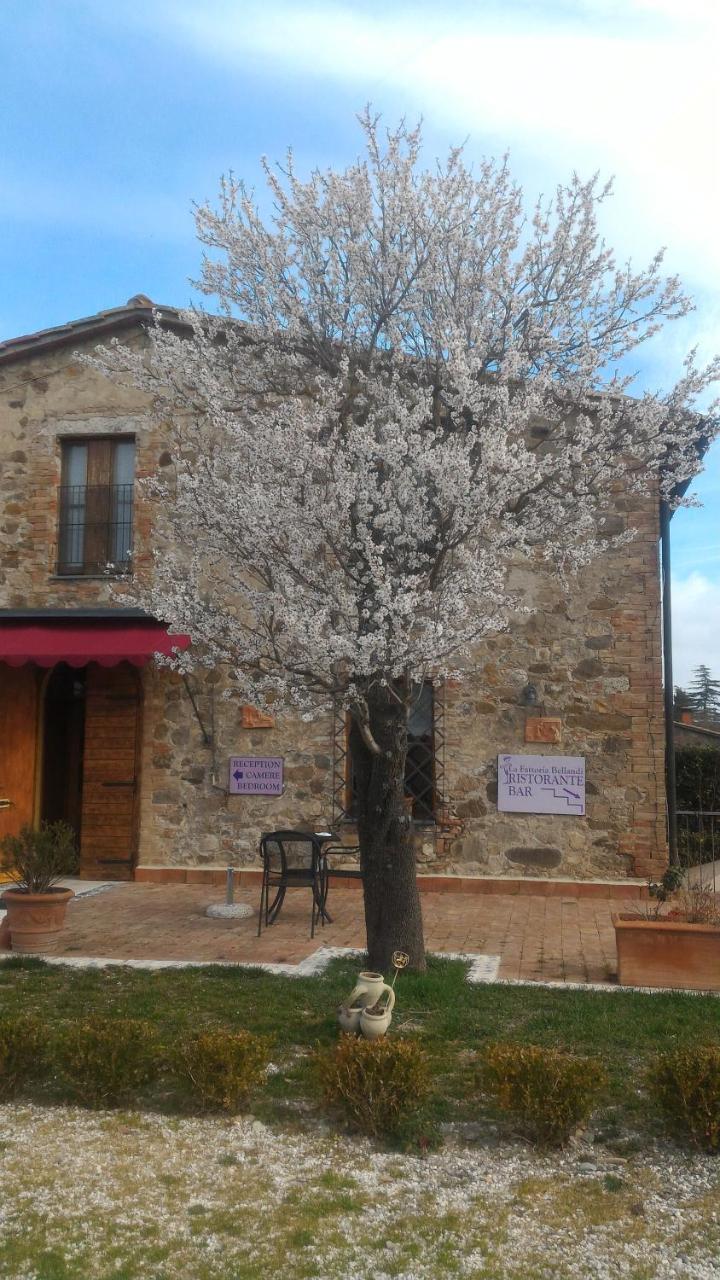 Contignano Country House La Fattoria Bellandi מראה חיצוני תמונה